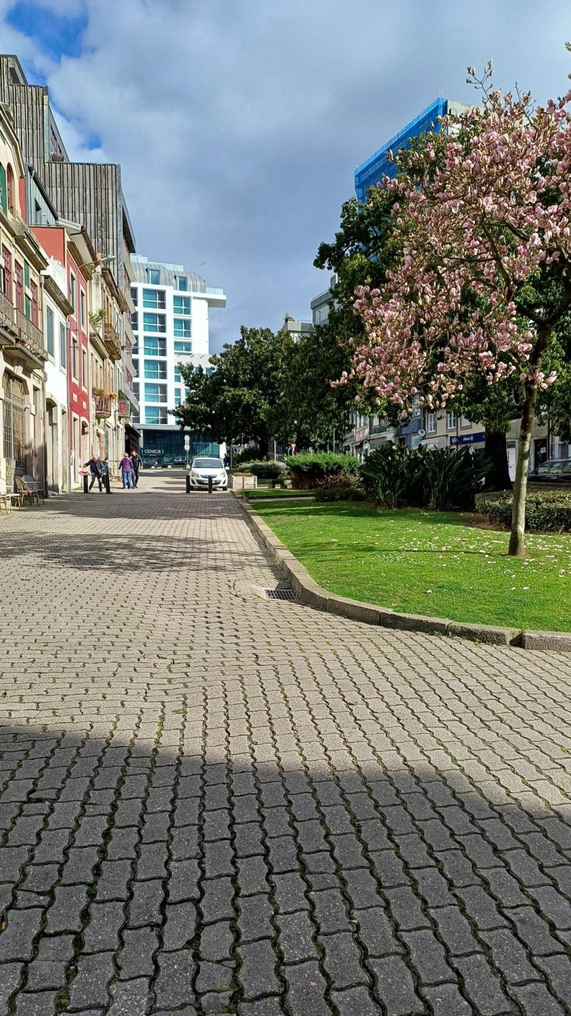 Otf- Porto Centro Apartment Ngoại thất bức ảnh